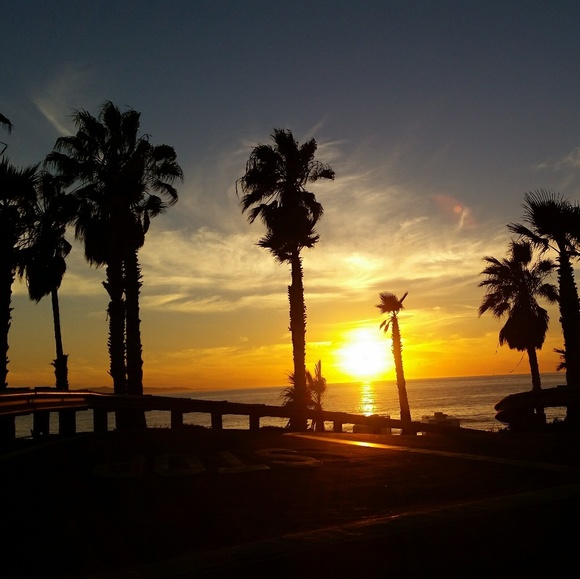 Meet your Posher, Em - Picture 1 of 1